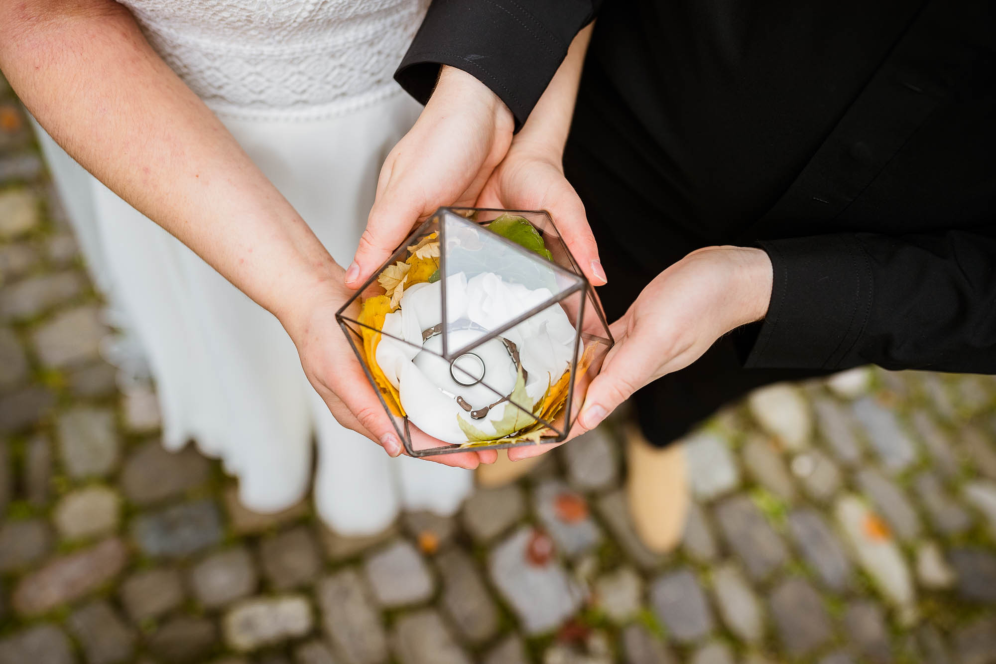 Export x3 1DX29718 Hochzeit 2020 Monika & Sharru